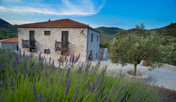 Εξωτερική όψη - Outdoor view